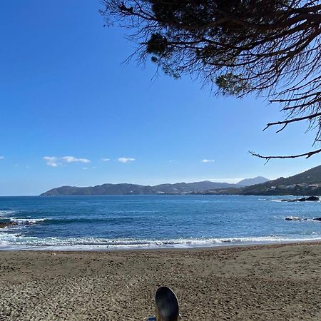Llança Gran Sol De La Farella 아파트 외부 사진
